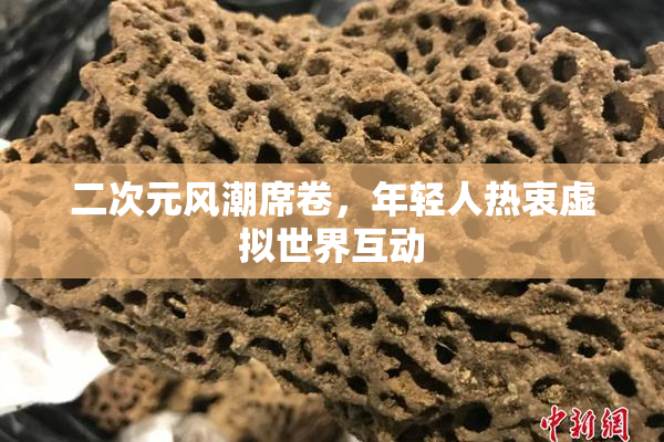 二次元风潮席卷，年轻人热衷虚拟世界互动