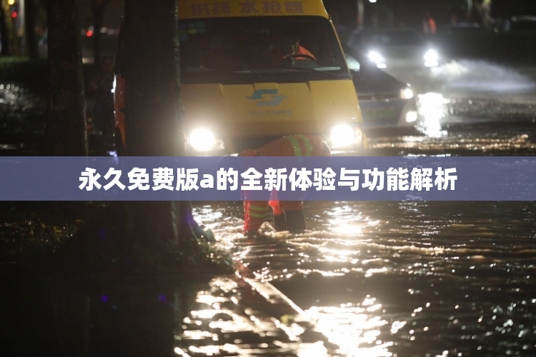 永久免费版a的全新体验与功能解析