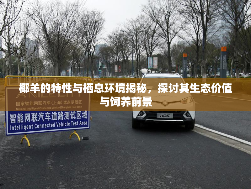 椰羊的特性与栖息环境揭秘，探讨其生态价值与饲养前景