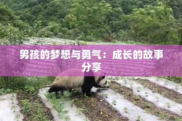 男孩的梦想与勇气：成长的故事分享