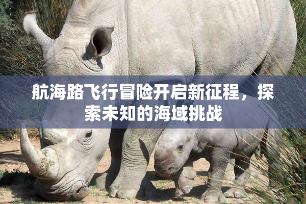 航海路飞行冒险开启新征程，探索未知的海域挑战