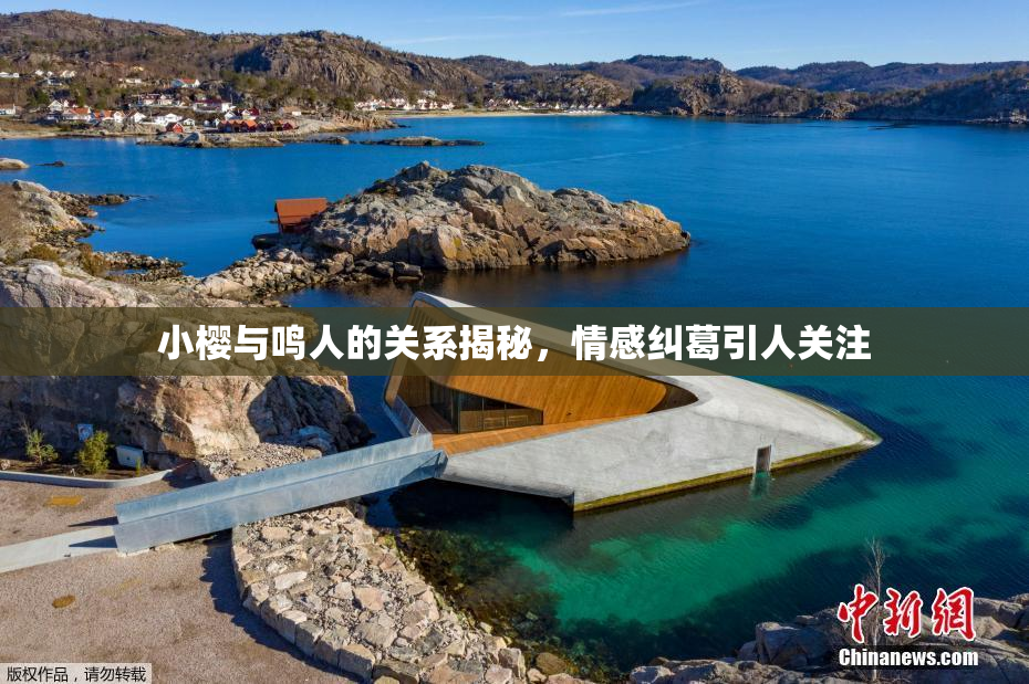 小樱与鸣人的关系揭秘，情感纠葛引人关注