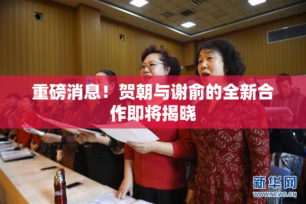 重磅消息！贺朝与谢俞的全新合作即将揭晓