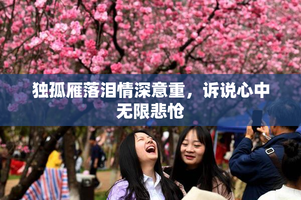 独孤雁落泪情深意重，诉说心中无限悲怆