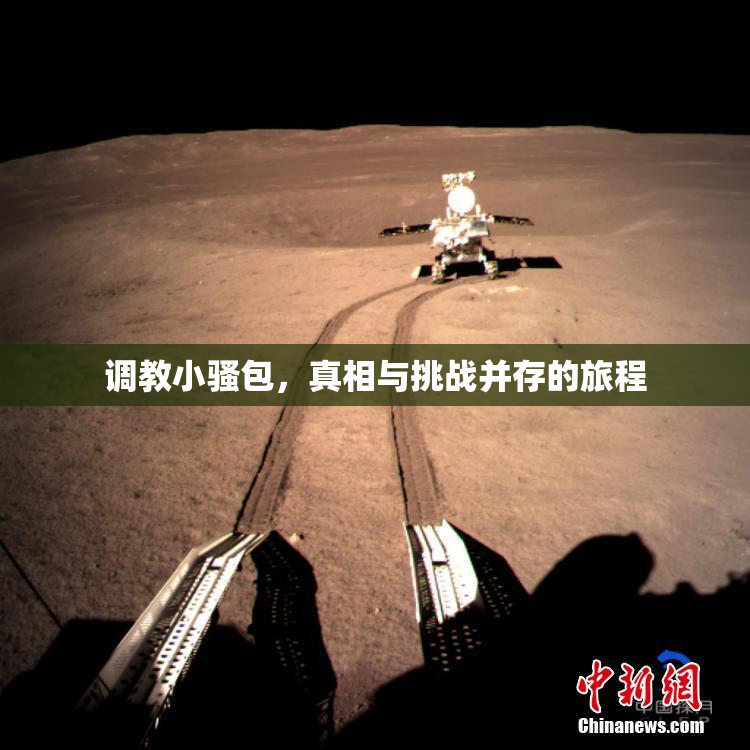 调教小骚包，真相与挑战并存的旅程