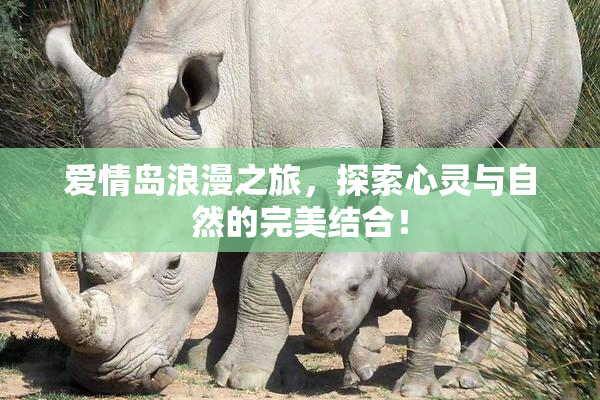 爱情岛浪漫之旅，探索心灵与自然的完美结合！