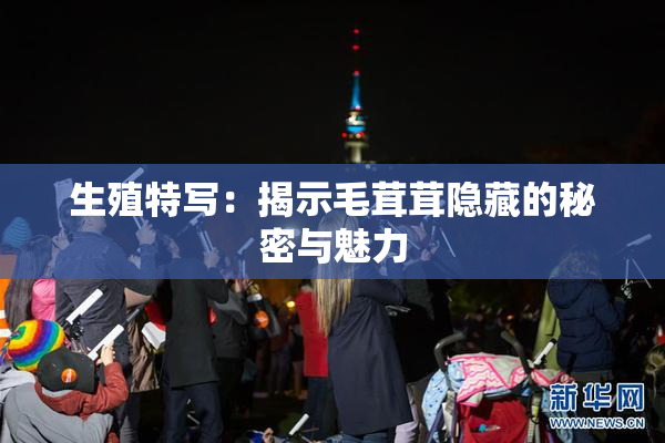生殖特写：揭示毛茸茸隐藏的秘密与魅力