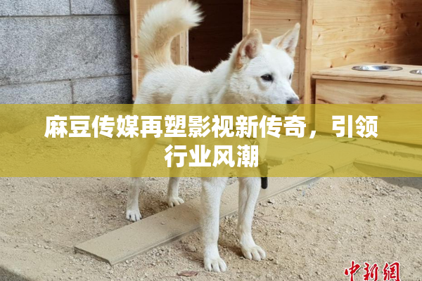 麻豆传媒再塑影视新传奇，引领行业风潮