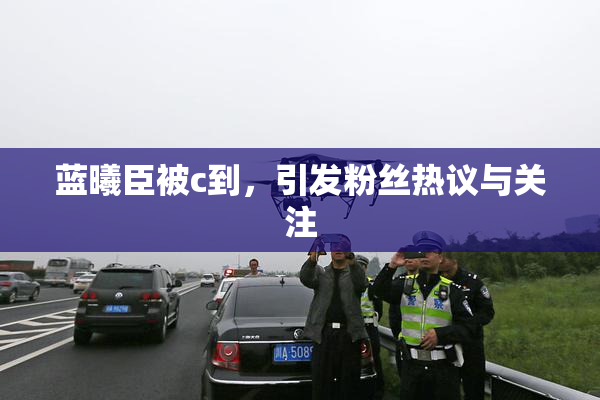 蓝曦臣被c到，引发粉丝热议与关注