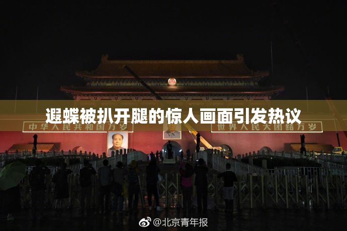 遐蝶被扒开腿的惊人画面引发热议