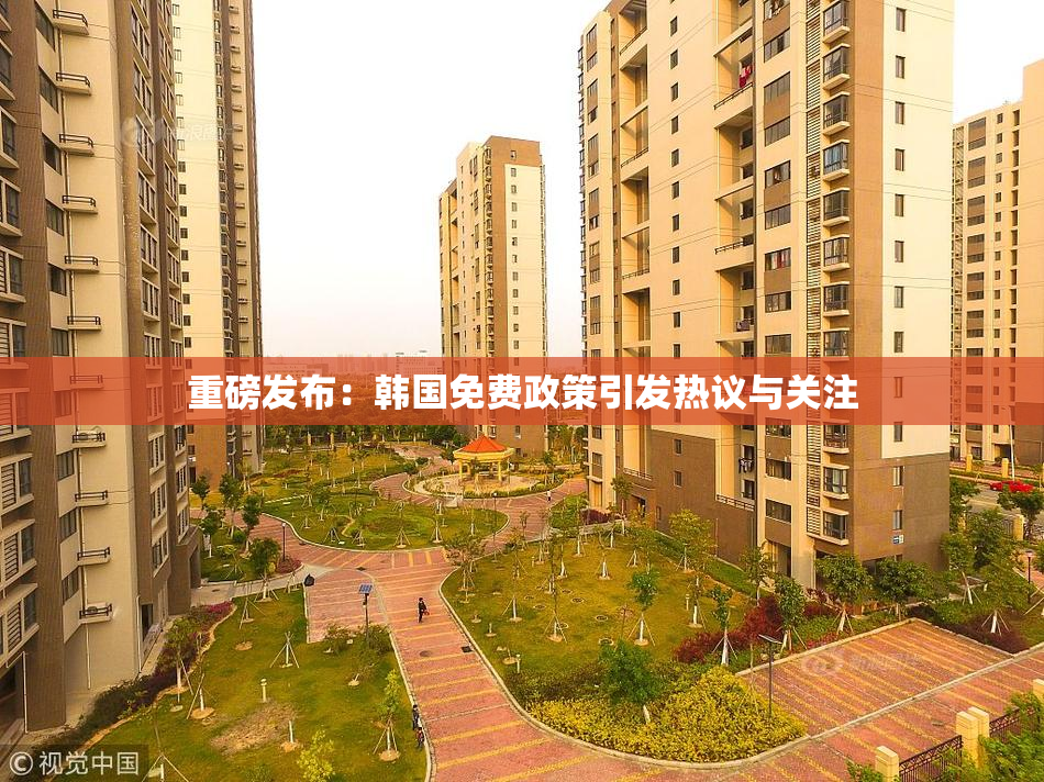 重磅发布：韩国免费政策引发热议与关注