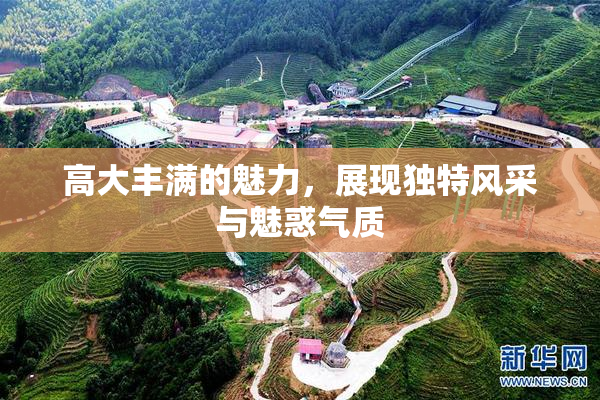 高大丰满的魅力，展现独特风采与魅惑气质