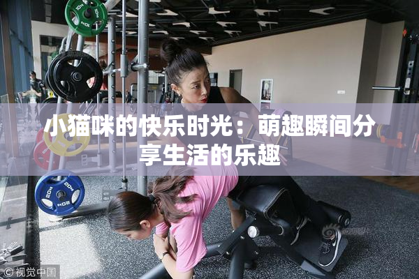 小猫咪的快乐时光：萌趣瞬间分享生活的乐趣