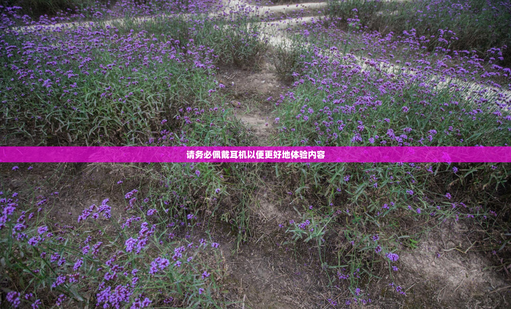 请务必佩戴耳机以便更好地体验内容