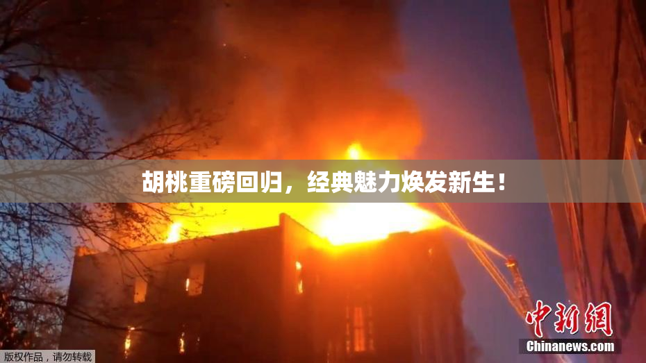 胡桃重磅回归，经典魅力焕发新生！