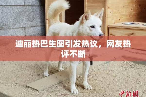 迪丽热巴生图引发热议，网友热评不断