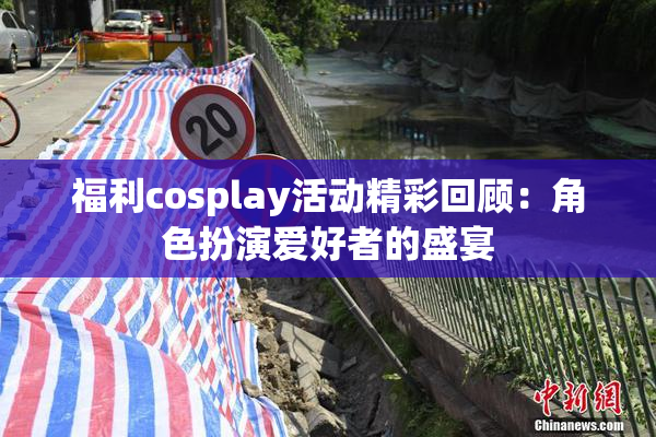 福利cosplay活动精彩回顾：角色扮演爱好者的盛宴