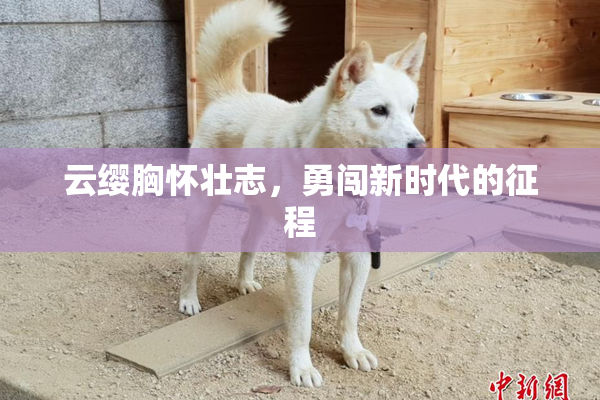 云缨胸怀壮志，勇闯新时代的征程