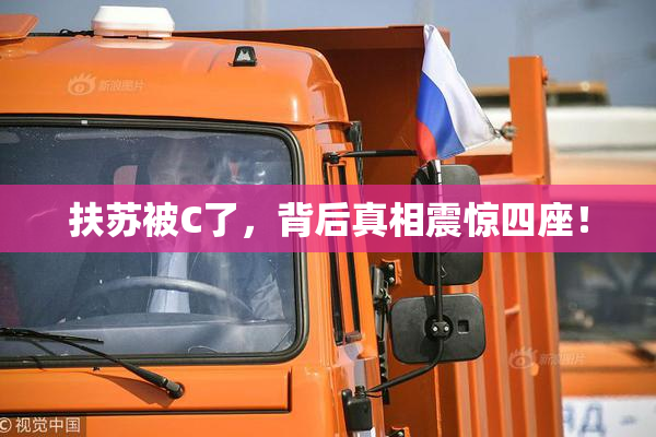 扶苏被C了，背后真相震惊四座！