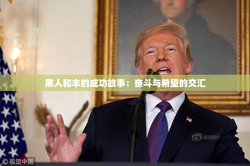 黑人和丰的成功故事：奋斗与希望的交汇