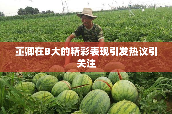 董卿在B大的精彩表现引发热议引关注