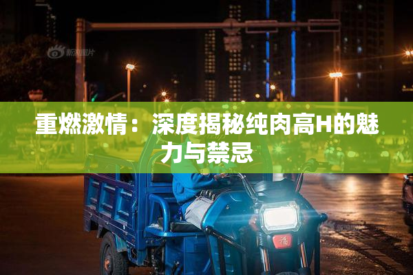 重燃激情：深度揭秘纯肉高H的魅力与禁忌