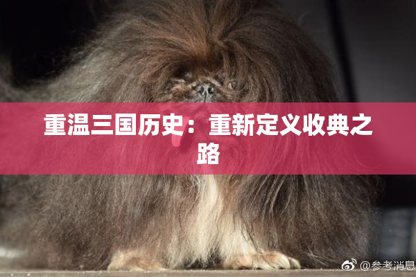 重温三国历史：重新定义收典之路