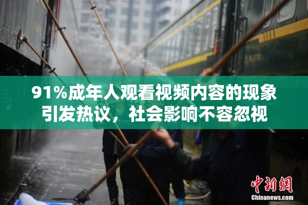 91%成年人观看视频内容的现象引发热议，社会影响不容忽视