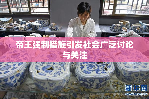 帝王强制措施引发社会广泛讨论与关注