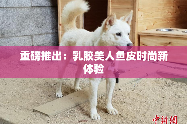 重磅推出：乳胶美人鱼皮时尚新体验