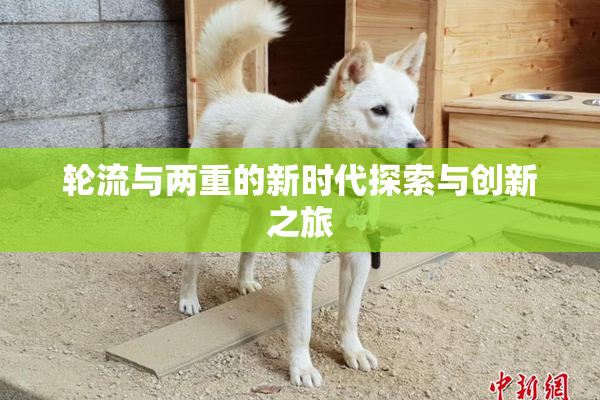 轮流与两重的新时代探索与创新之旅