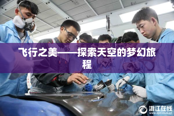 飞行之美——探索天空的梦幻旅程