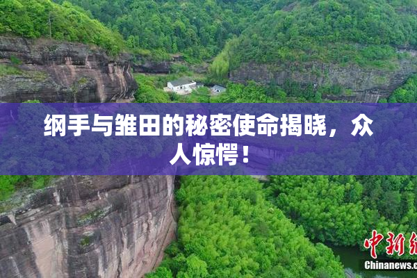 纲手与雏田的秘密使命揭晓，众人惊愕！