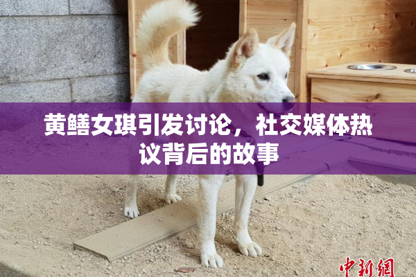 黄鳝女琪引发讨论，社交媒体热议背后的故事