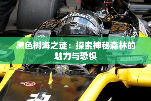 黑色树海之谜：探索神秘森林的魅力与恐惧