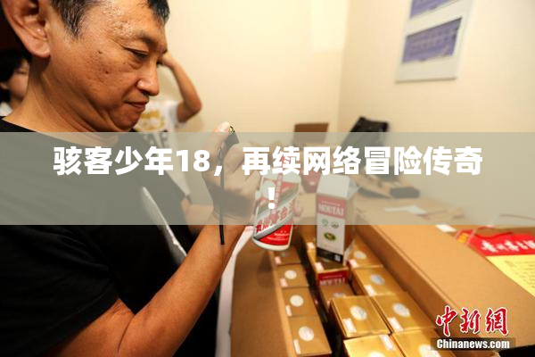 骇客少年18，再续网络冒险传奇！