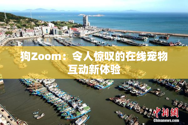 狗Zoom：令人惊叹的在线宠物互动新体验