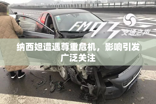 纳西妲遭遇尊重危机，影响引发广泛关注
