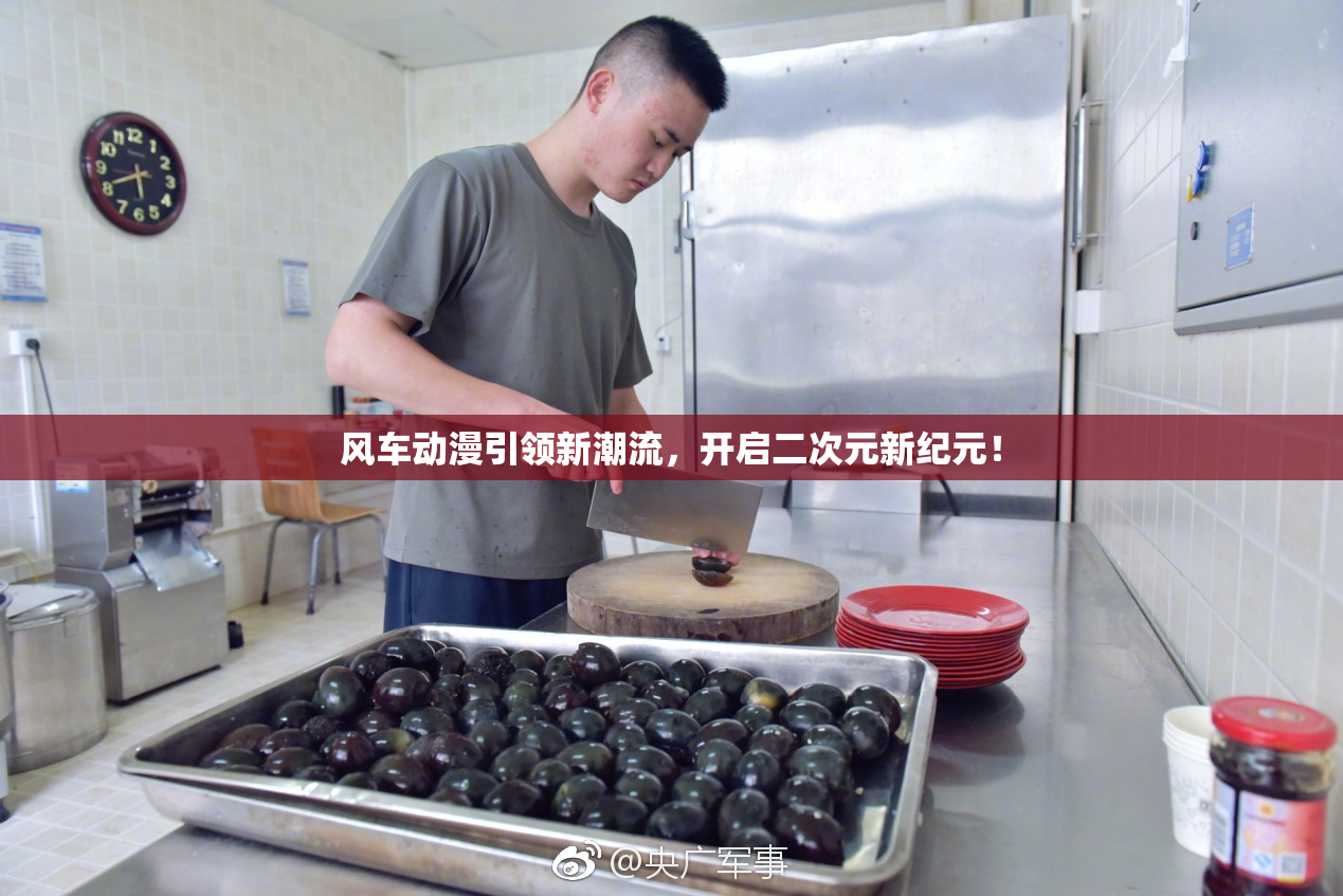 风车动漫引领新潮流，开启二次元新纪元！