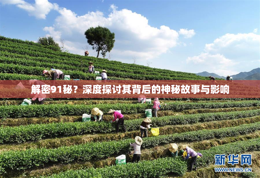 解密91秘？深度探讨其背后的神秘故事与影响