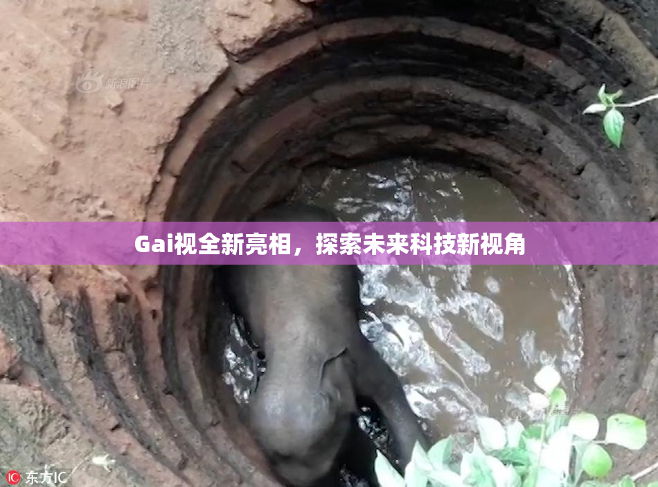 Gai视全新亮相，探索未来科技新视角
