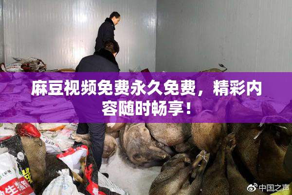 麻豆视频免费永久免费，精彩内容随时畅享！