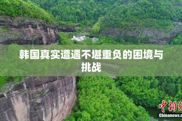 韩国真实遭遇不堪重负的困境与挑战