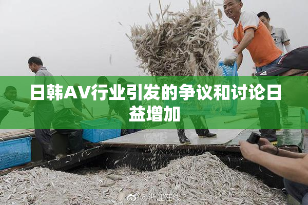 日韩AV行业引发的争议和讨论日益增加