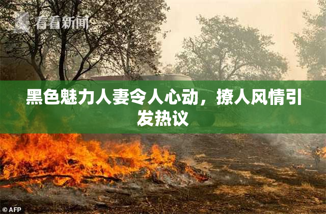 黑色魅力人妻令人心动，撩人风情引发热议