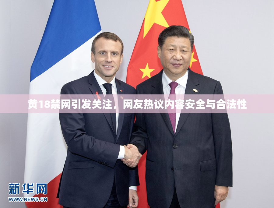 黄18禁网引发关注，网友热议内容安全与合法性