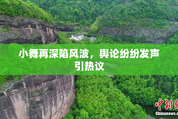 小舞再深陷风波，舆论纷纷发声引热议