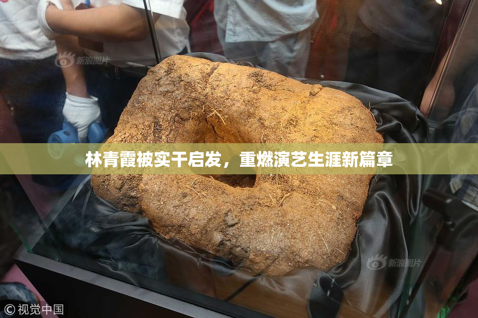 林青霞被实干启发，重燃演艺生涯新篇章