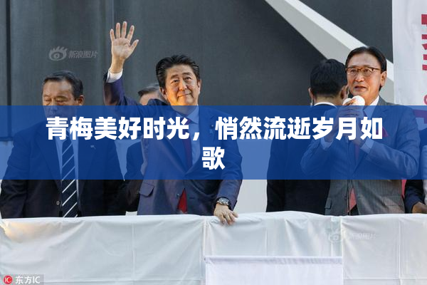 青梅美好时光，悄然流逝岁月如歌