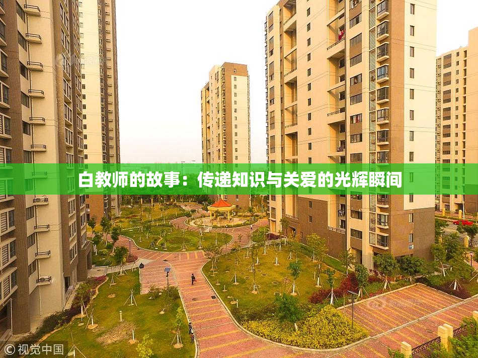 白教师的故事：传递知识与关爱的光辉瞬间
